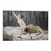Produktbild MEIYAN Samson and Delilah Max Liebermann Maler-Poster, Kunstdruck, Wand-Foto, Malposter zum Aufhängen, Familiendekoration, 20 x 30 cm