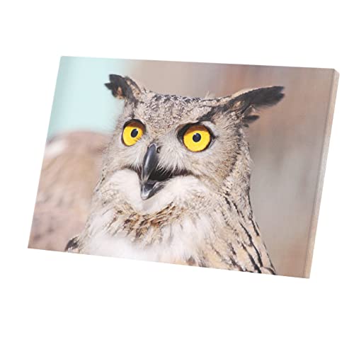 Impression Hibou Grand Duc tableau sur toile premium aux détails photographiques