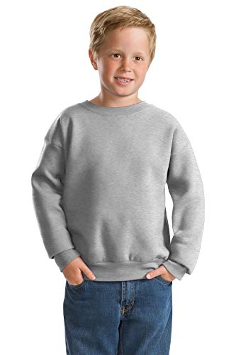 Hanes ComfortBlend EcoSmart Crewneck Sweatshirt (P360)3