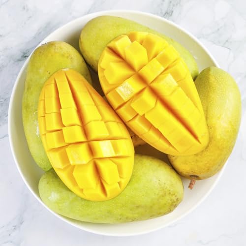 Acquista un albero di mango Acquista da biologici Mango Coltivazione di ver da appartamento Semi rari colonnari 3semi