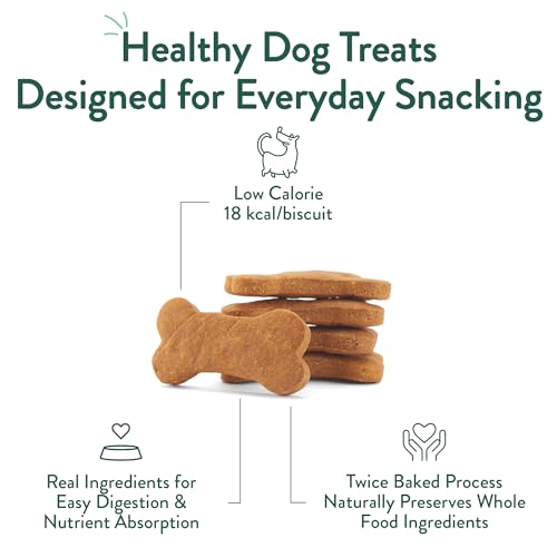 Portland Pet Food Company Pumpkin Dog Treats Healthy Biscuits for Small Medium & Large Dogs - Grain-Free, Human-Grade, All Natural Cookies, Snacks & Training Treats - Made in The USA - 3 Pack (5 oz)