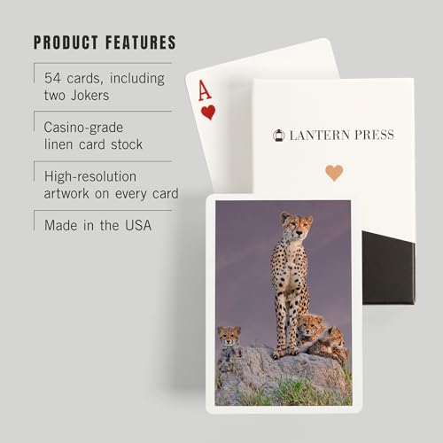 Lantern Press Cheetah and Babies naipes póker 52 cartas miniatura 3