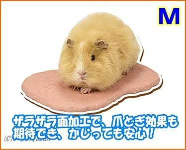 Amazon | [三晃商会]ウサギ・モルモット等の小動物用涼感テラコッタ