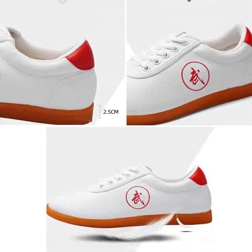 Tai Chi Shoes Men Women Martial Arts Shoes Lightweight Kung Fu Tai chi Shoes Kung Fu Martial Arts Boxing Training Shoes(Size:42 EU,Color:White)2
