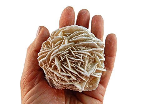 Set of 5 (Five) Raw Selenite Crystal Desert Rose Stones - Spiritual Metaphysical Healing and Enhancement w/Certificate of Authenticity Beverly Oaks Exclusive (x-Large)