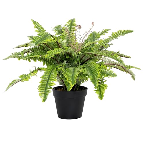 Blooming Artificial - Artificial Boston Fern Indoor Plant, Realistic House Plant in Pot for Home and Office, Year Round Decorative Foliage (Green) (50cm)