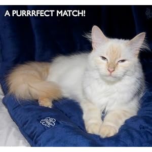   Pet-Dreams-Dog-Crate-Pad-is-The-Original-Dog-Crate-Bed-Kennel-Mat-Washable-Crate-Pad-for-Dog-Cage-Kennel-Bed-Non-Toxic-Reversible-Perfect-Cat-Bed-for-Indoor-Cats-Pink-Small-24-Inch