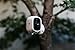 Arlo Pro 2 VMS4530P-100NAR Smart Security System 5 Cameras Certified (Renewed)
