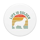 Zoom IMG-2 vintage golden retriever dog life