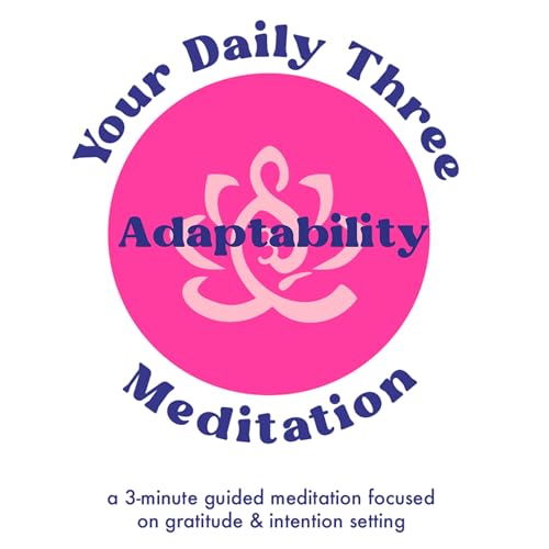 Your Daily Three Meditation - Adaptability