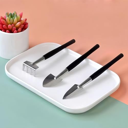 Set de herramientas de jardinería 3 piezas para plantas miniatura 2