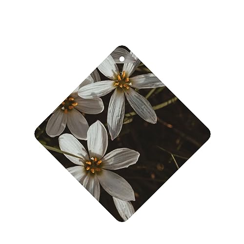 ԂƗ΂̗t ԗpF p[\iCYꂽ̃XCX J[A}Zs[^ubg ݂艺F܃J[h [vt 4 ԂƂ̑p