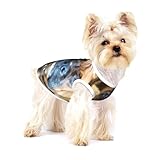 ❤Ocasión: este chaleco suave para cachorros/gatos es adecuado para el uso diario, caminatas, deportes, hogar, viajes y otras actividades al aire libre, adecuado para fiestas, sesiones de fotos y vacaciones.