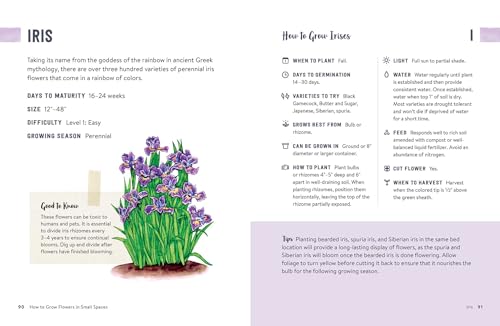 How to Grow Flowers in Small Spaces: An Illustrated Guide to Planning, Planting, and Caring for Your Small Space Flower Garden - Image 4