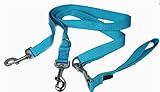 2 Hounds Freedom Multipurpose 1 Inch Euro Pet Leash 4 to 8 Foot or Double Dogs with Detachable Handle Turquoise