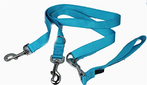 2 Hounds Freedom Multipurpose 1 Inch Euro Pet Leash 4 to 8 Foot or Double Dogs with Detachable Handle Turquoise