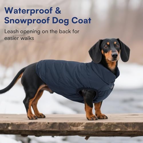 ASENKU Hundemantel Winter, Hundemantel wasserdichte für Kleine Hunde Warme Fleece Hundejacke mit Geschirr Winddichte Wintermantel Hund Kleidung für Malteser Dackel Französische Bulldogge M