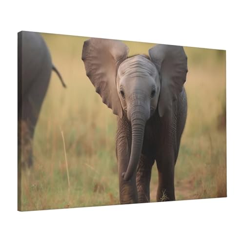 Impression sur toile éléphant pour habiller un mur vide