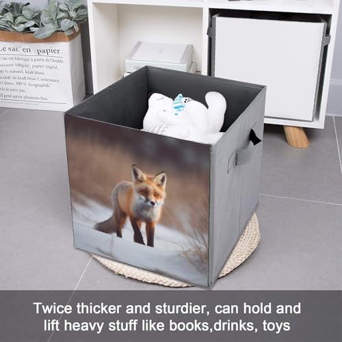 Boîtes de rangement renard pliable pour armoire gain de place - 7