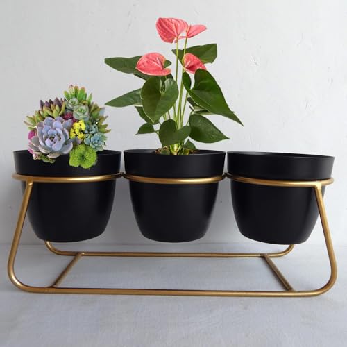 Image of Planter|Flower Pot for Indoor|Decorative Planter Basket|Home D?cor Flowers Pot|Flower Planter for Office D?cor|Balcony Flower Pot|3 Planter with Golden Stand|1129-A|Black