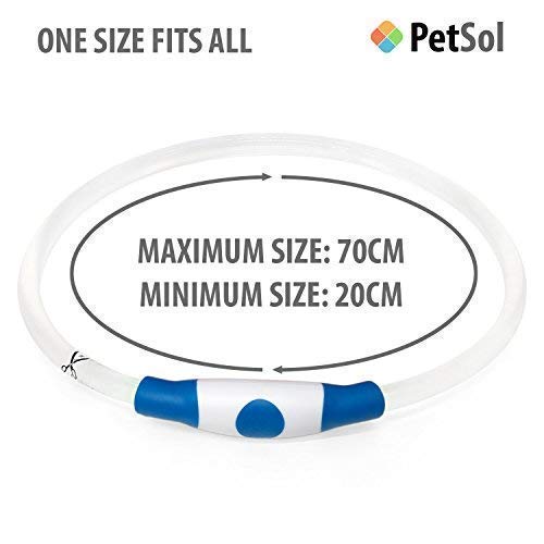 petsol led collar
