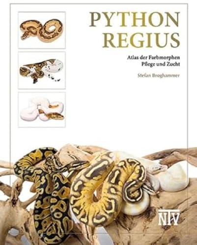 Python regius: Atlas der Farbmorphen (Terrarien-Bibliothek)
