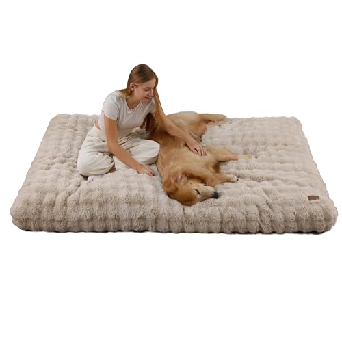 BingoPaw Hundebett für Menschen Hunde: 200x130x18 cm Riesiges Human Dog Bed für Erwachsene, Flauschig Weich Abnehmbar Bezug, Multifunktional Hundebetten Hundematte Teppich Wohnzimmer, Beige