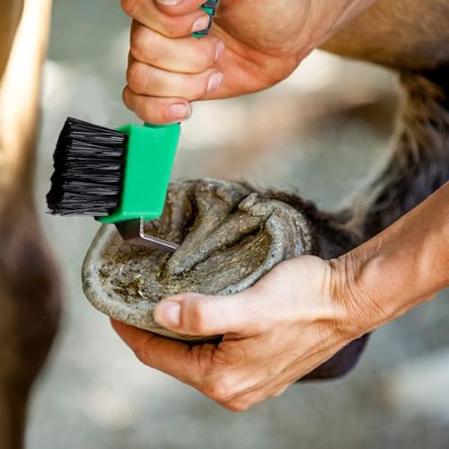 Hsthe Sea 2 Stück Hufkratzer für Pferde, Pferdepflegewerkzeuge, Fellpflege- und Reinigungszubehör für Pferde, Schafe und Rinder, zufällige Farbe