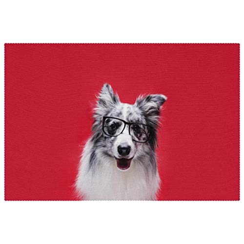 Set de table Border Collie résistant à la chaleur lot de 4 - 2