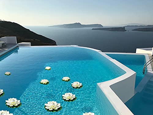 Navadeal 6Pcs Artificial Floating Foam Lotus Flowers With Water Lily Pad Ornaments, Ivory White, Perfect For Patio Koi Pond Pool Aquarium Home Garden Wedding Party Holiday Decoration(With No Lights) #TOP2