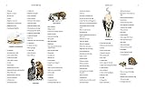 So to Speak: 11,000 Expressions That'll Knock Your Socks Off