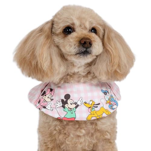 ybgp_CX   t  fBYj[ D N[ o_i ~j[}EX sN yQl SS gCv[h ps (`5kg) ybgp_CXcX72XܓWJ2025/10/1_z K