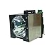 Dukane ImagePro 9060 Assembly Lamp with Quality Projector Bulb Inside