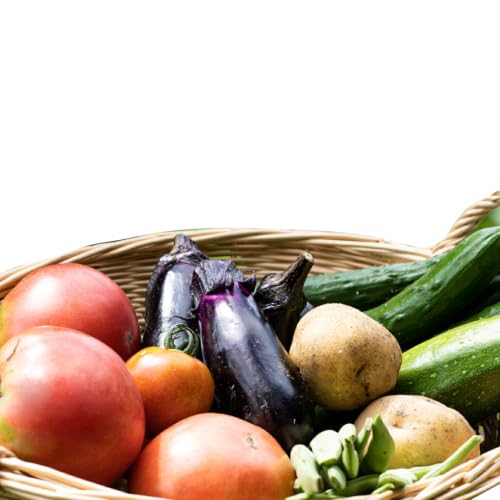 野菜 旬の農産物のセット 約3kg [JA埼玉中央小川農産物直売所 埼玉県 小川町 135]