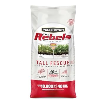 best lawn mower for fescue grass
