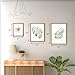 Art3d Framed Wall Art Set of 4 for Wooded Aesthetic Wall Decor for Living room Kitchen Hallway Bedroom, Green Plant Picture Frame, Neutral Botanical Wall Prints
