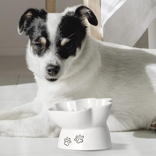 Kaiikais Slow Feeder Hundenapf und Katzenfutternapf, 240ml oz Keramik-Hundewassernapf, erhöhter Slow Feeder Hundefutternapf, Slow Feeder Katzennapf, Kleiner Slow Feeder Napf für Hunde – Bild 3