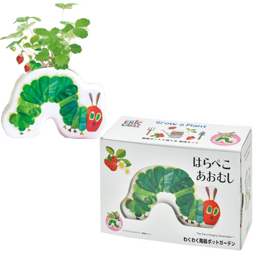 V| ʔN ƒ؉ ͔|Lbg u ͂؂ނ v 킭킭|bgK[f ChXgx[ ~j ȒP Ă  n[u ͔|Zbg (R/H) ̓ a v[g ̕ 15cm { HP-060