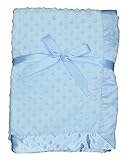 LUXEHOME Super Soft Microfiber Plush Baby Blanket (Blue)