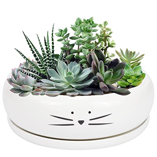 Koolkatkoo 8 Inch Large Cute Cat Ceramic Succulent Planter Pots with Removable Saucer Unique Porcelain Cactus Planters Decorative Flower Pot for Cat Lovers White
