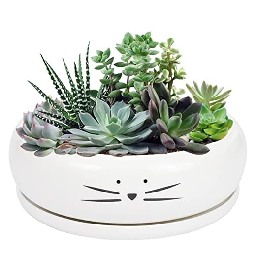 Koolkatkoo 8 Inch Large Cute Cat Ceramic Succulent Planter Pots with Removable Saucer Unique Porcelain Cactus Planters Decorative Flower Pot for Cat Lovers White