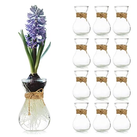 Cute Mini Glass Vases for Flowers