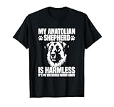 Anatolian Shepherd Lover Dog Food Dog Owner Shepherd T-Shirt