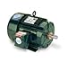 Leeson Electric, 811561.00, 30HP, 1773RPM, 3PH, 460V, 286T Frame, Standard Flange, Foot Mount, TEFC, IEEE 841 Motor