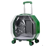 Haiqings Trolley Hülle Reise Transporttasche Transparente Reisehandtasche tragbar (Farbe: Grün) wenfeng1991 (Color : Green)