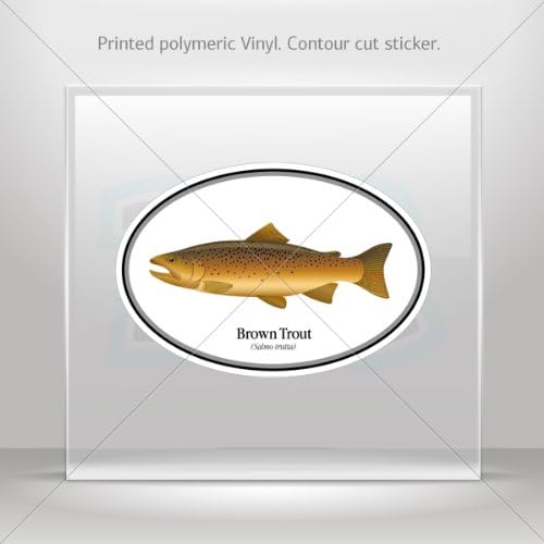 Decals Sticker Brown trout car helmet window Boat jet-ski Garage door 6 X 4.1 Inches Vinyl color print 0600 XR2X4