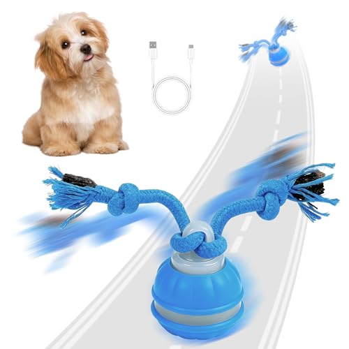 HNCY Pallina Interattiva per Cani, Palla Interattiva per Canis con Corda & Canto degli Uccelli, Giochi per Cani Elettrico Pallina Canis per Cuccioli, Piccoli e Medi, Ricaricabile Tramite USB (Blu)