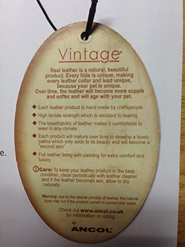 Ancol Vintage Leder Gepolsterter Kragen Kastanie