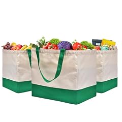 [A1] Off White / Green