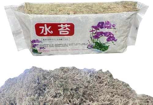 خزه Sphagnum برای ارکیده ها ، خزه های گیاهی طبیعی ، تجهیزات چیدمان گل برای باغبانی آکواریوم آکواریوم حوض